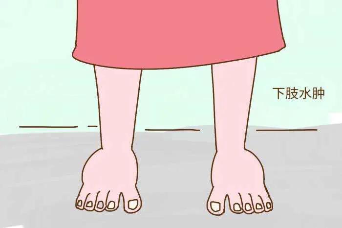 吃硝苯地平体重下降正常吗,吃硝苯地平身体肥胖