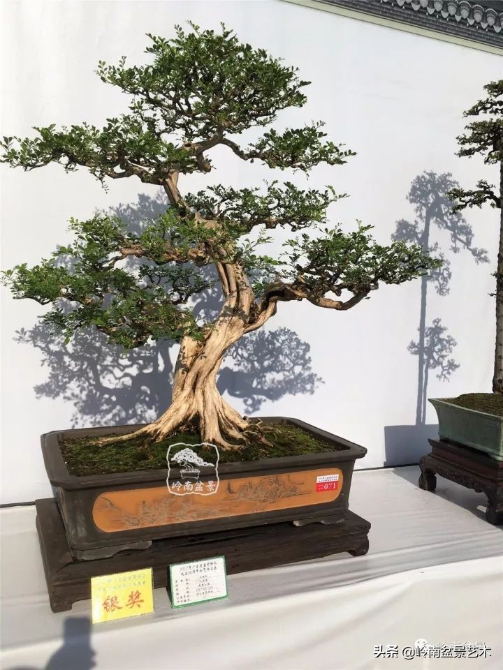 骞哥涔呬箙鐢滅敎铚滆湝,骞哥涔呬箙