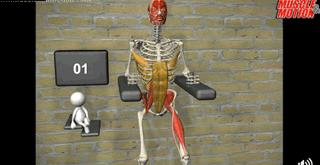 抬腿对治疗腰椎间盘突出有帮助吗,腰椎间盘突出直抬腿的正确做法