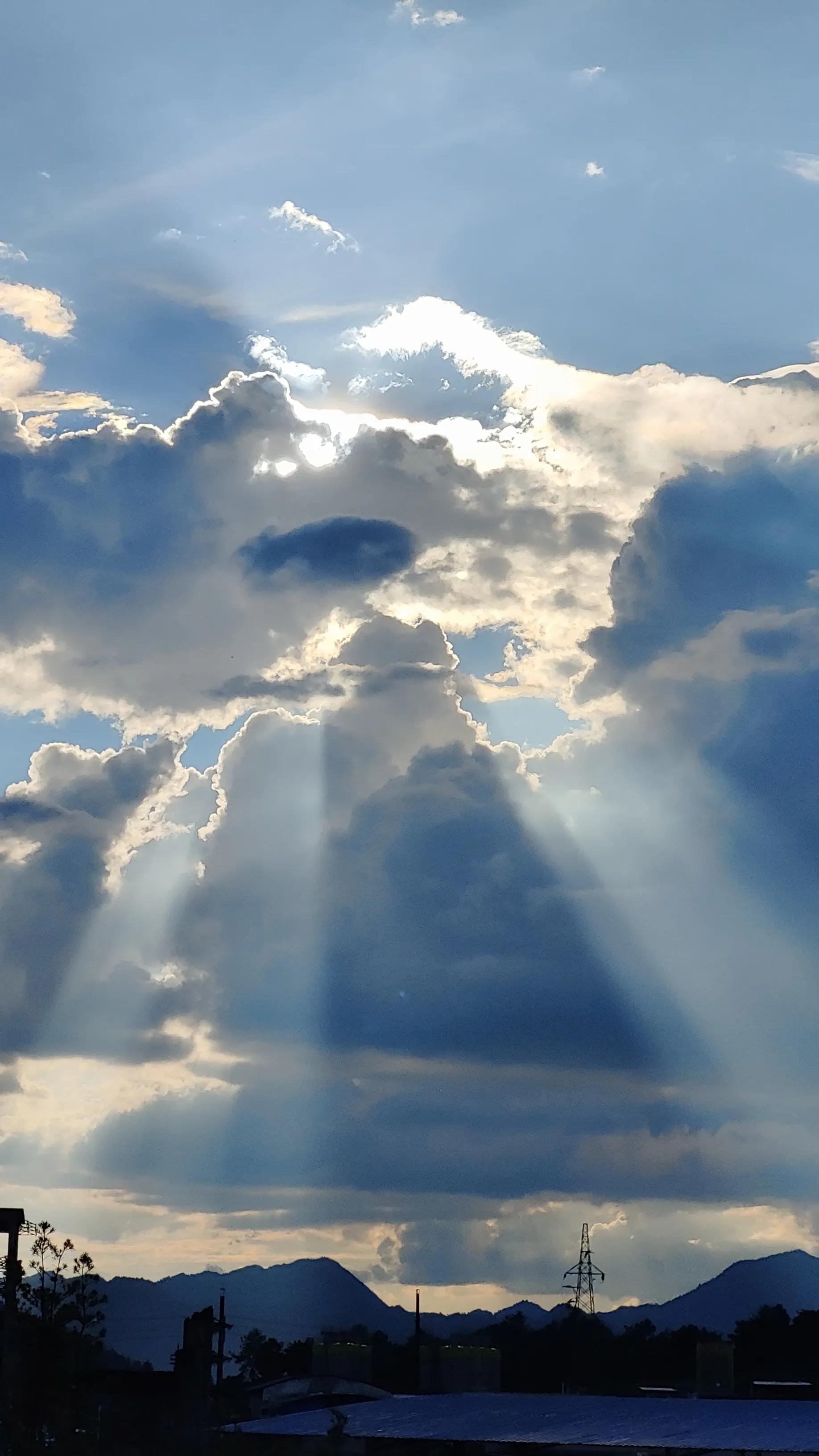 曼珠沙华和曼陀罗哪个有毒 (曼珠沙华可以在室内种吗有毒吗)