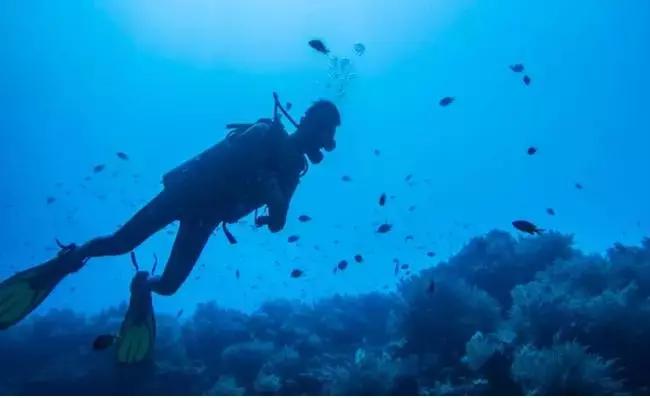 成都怎么过冬的,成都人冬天喜欢去哪过冬