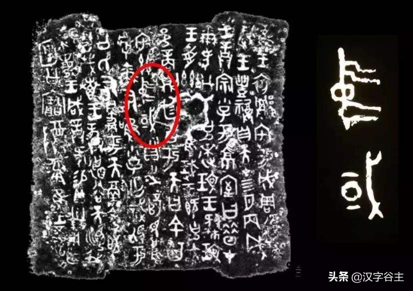 汉字博物:“酉”是什么,“酒、酋、尊、奠、配”与它是什么关系