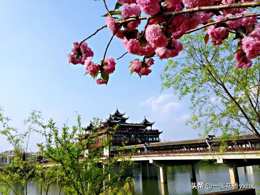 春风又绿江南岸风景,春风又绿江南岸风景图片
