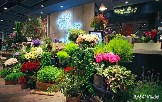 新手小白怎么开好一家花店,没有社会经验如何运转一家花店