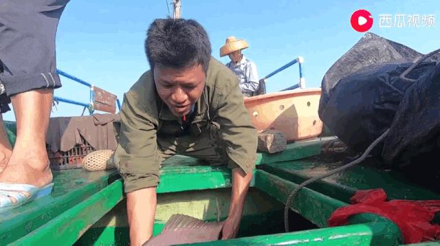 西瓜视频赶海活动,西瓜视频赶海