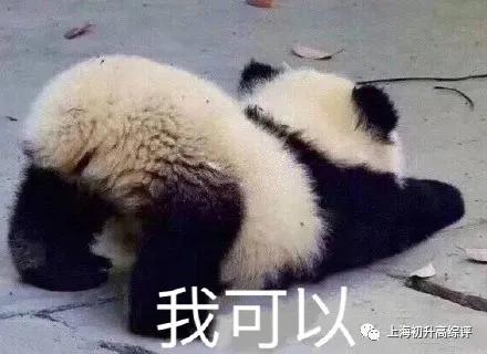 上海闵行区民办双语学校,闵行区上闵外学校排名