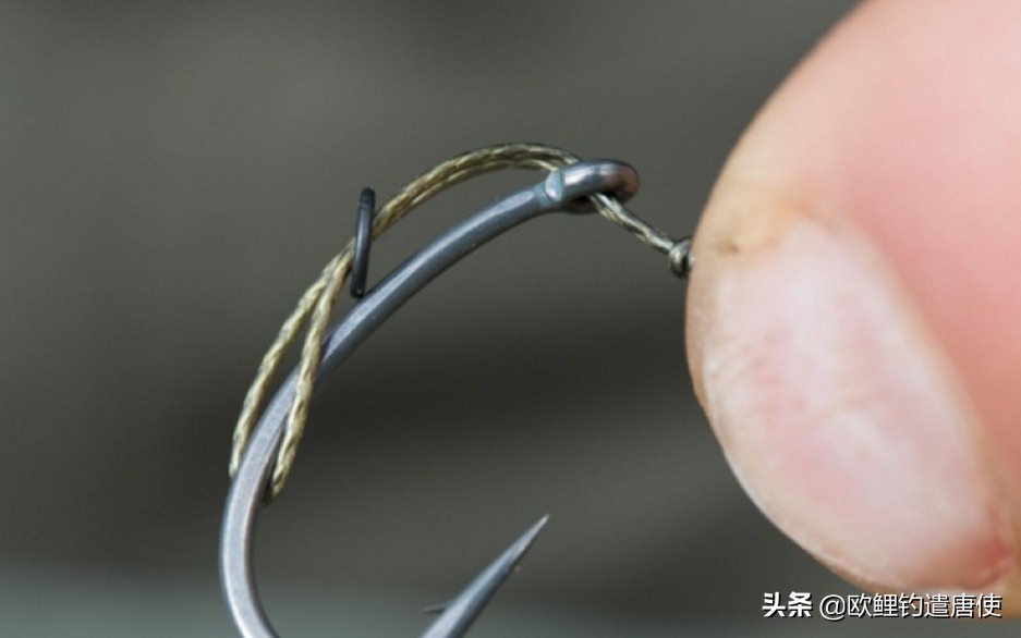 为什么鲤鱼比鲫鱼难钓,为什么鲫鱼这么难咬钩