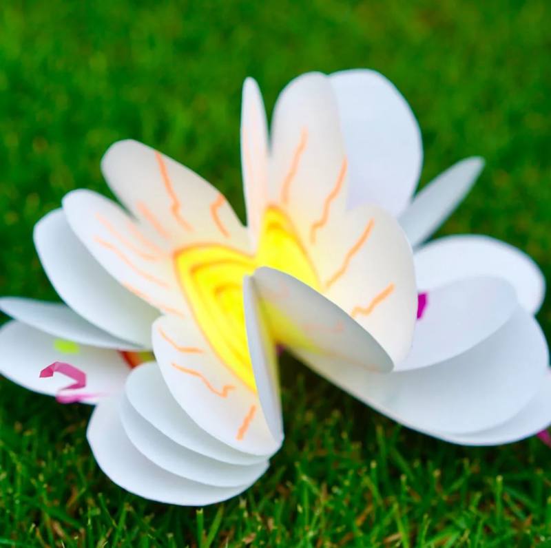 小众又高级的教师节礼物自制,2020最火的教师节手工礼物教程