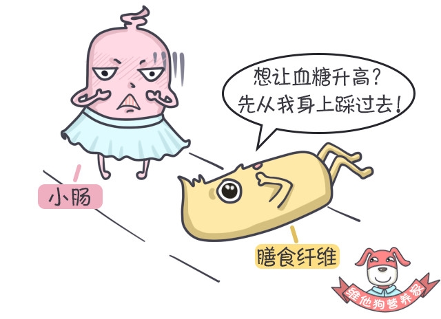 多吃膳食纤维能瘦吗,高膳食纤维对减脂有帮助吗