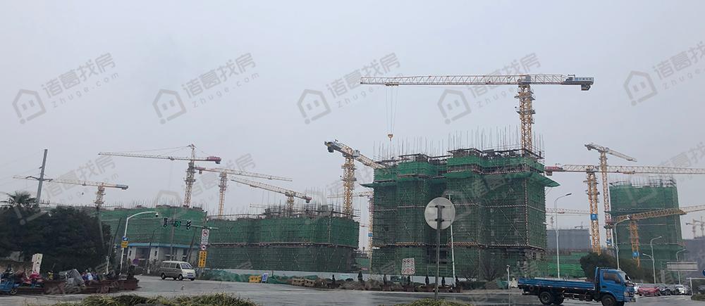 广州土拍第二轮南沙土地位置,活力岛最新地块