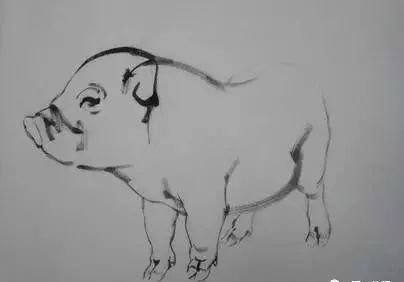 猪年国画：猪的绘画步骤