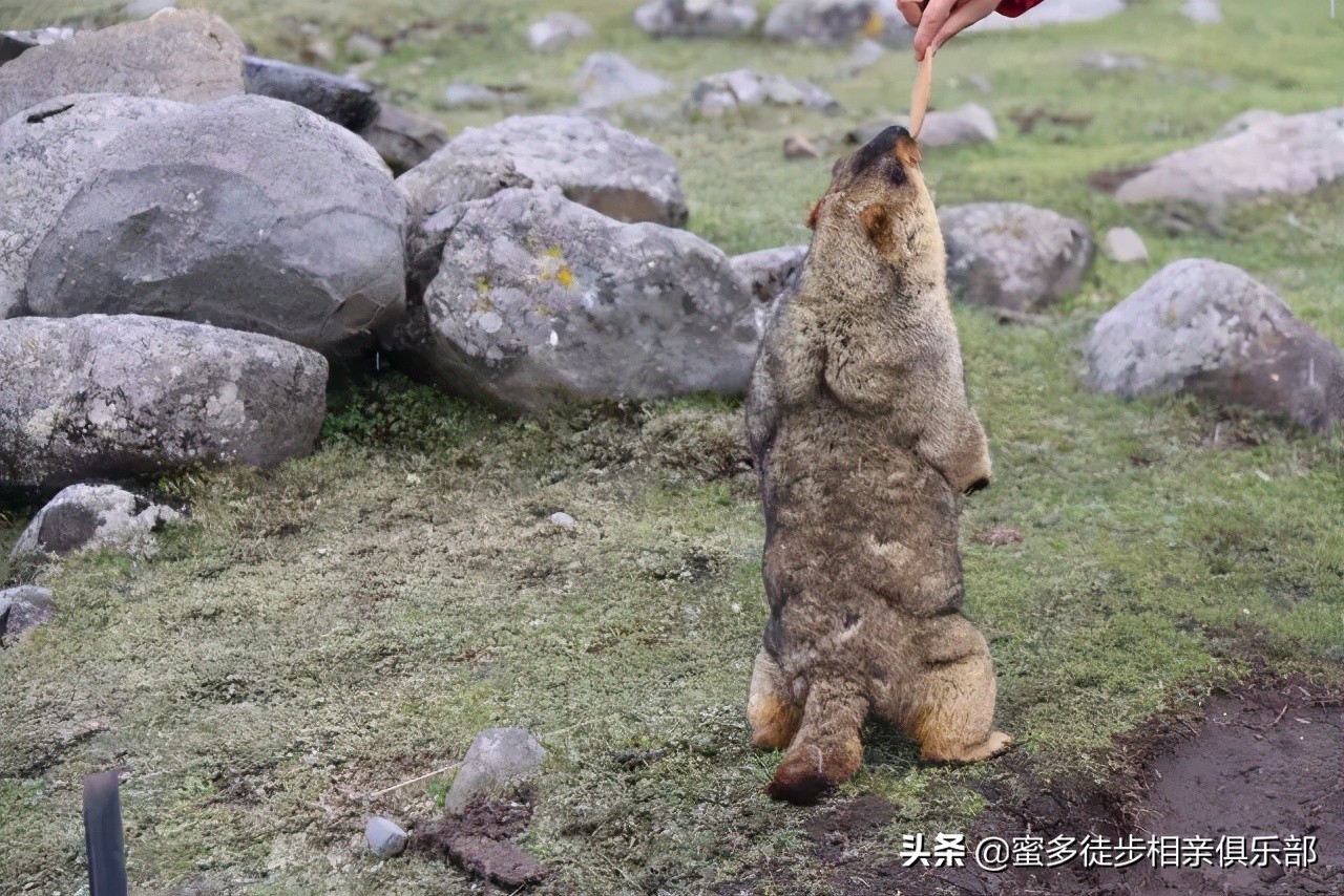 莫斯卡村距离成都多远,从莫斯卡村到成都有什么景点