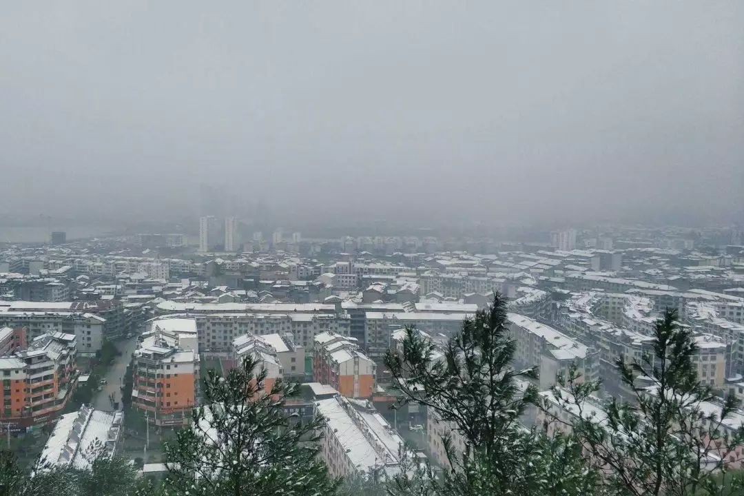 从a到z的26个字母,从a到z这26字母中你想选哪个