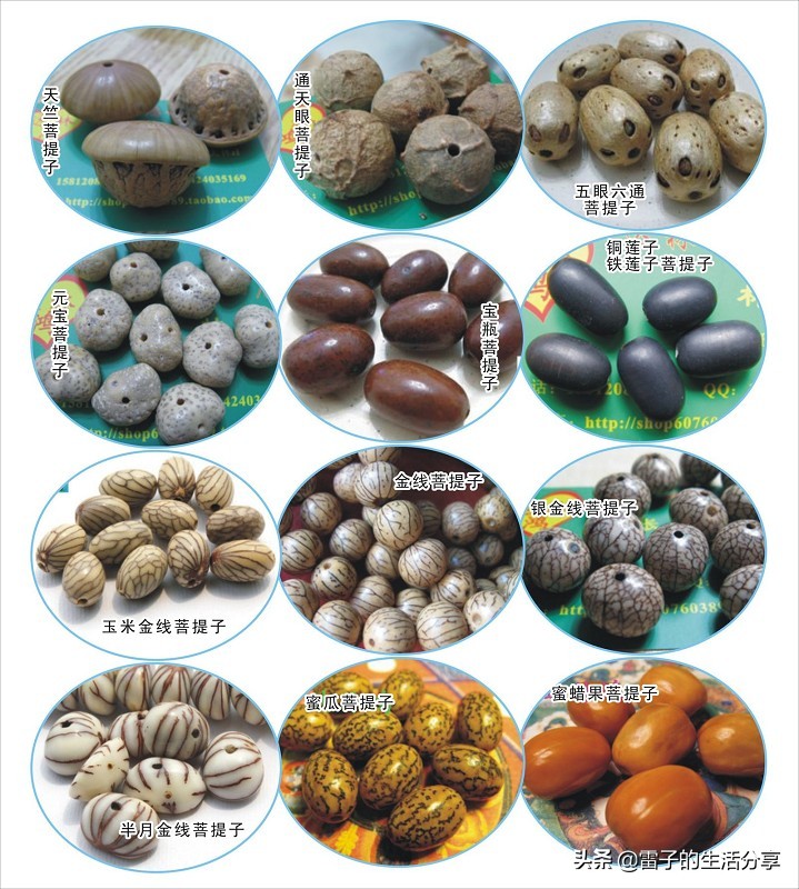 文玩菩提子鉴赏,橄榄核镶嵌菩提怎么样