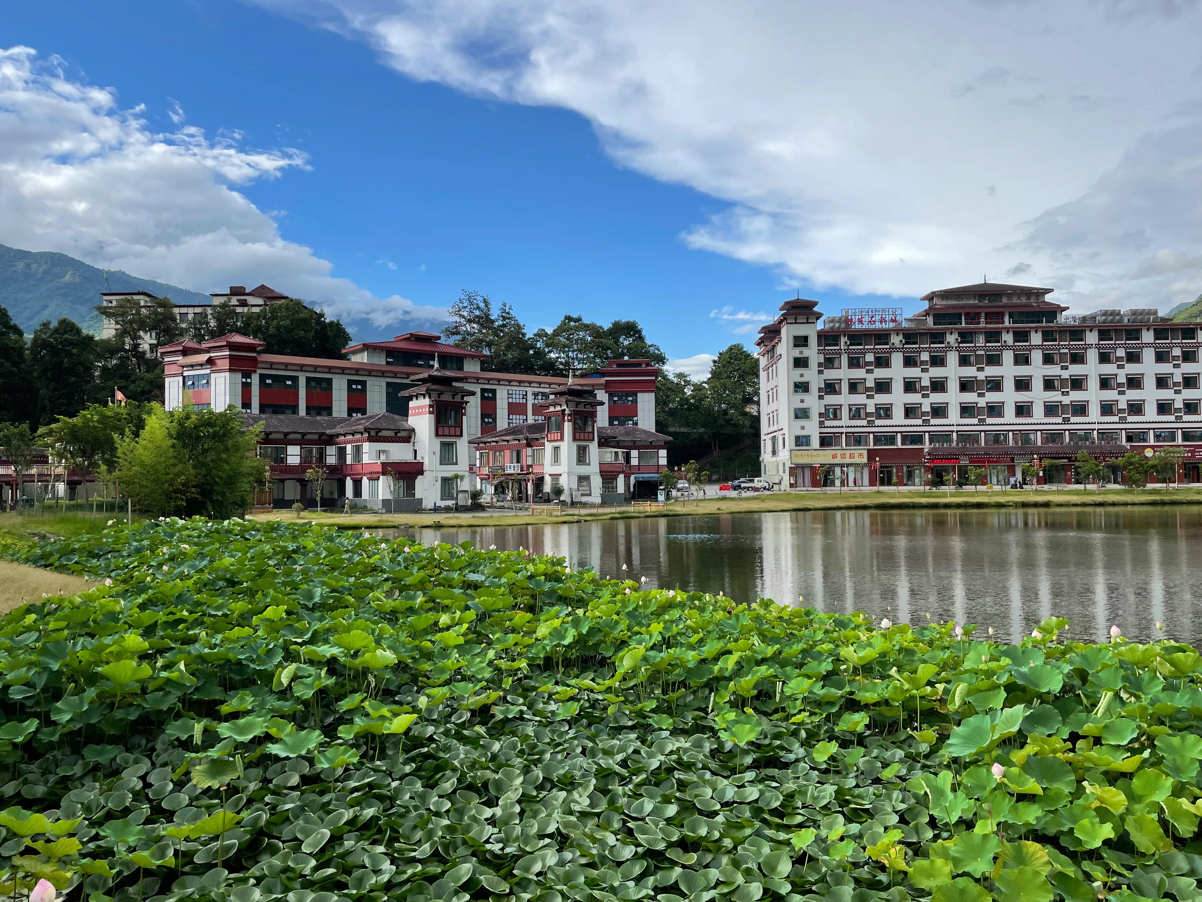 清晨墨脱景色,墨脱莲花公园夜景