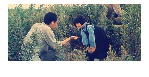 看《城南旧事》|儿童眼中北京老胡同的故事,为何能豆瓣评9.1分