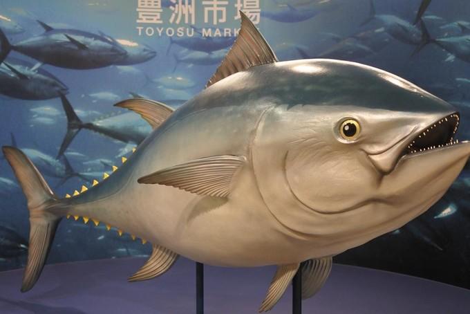 去日本的海鲜哪里便宜,日本吃海鲜最便宜的地方