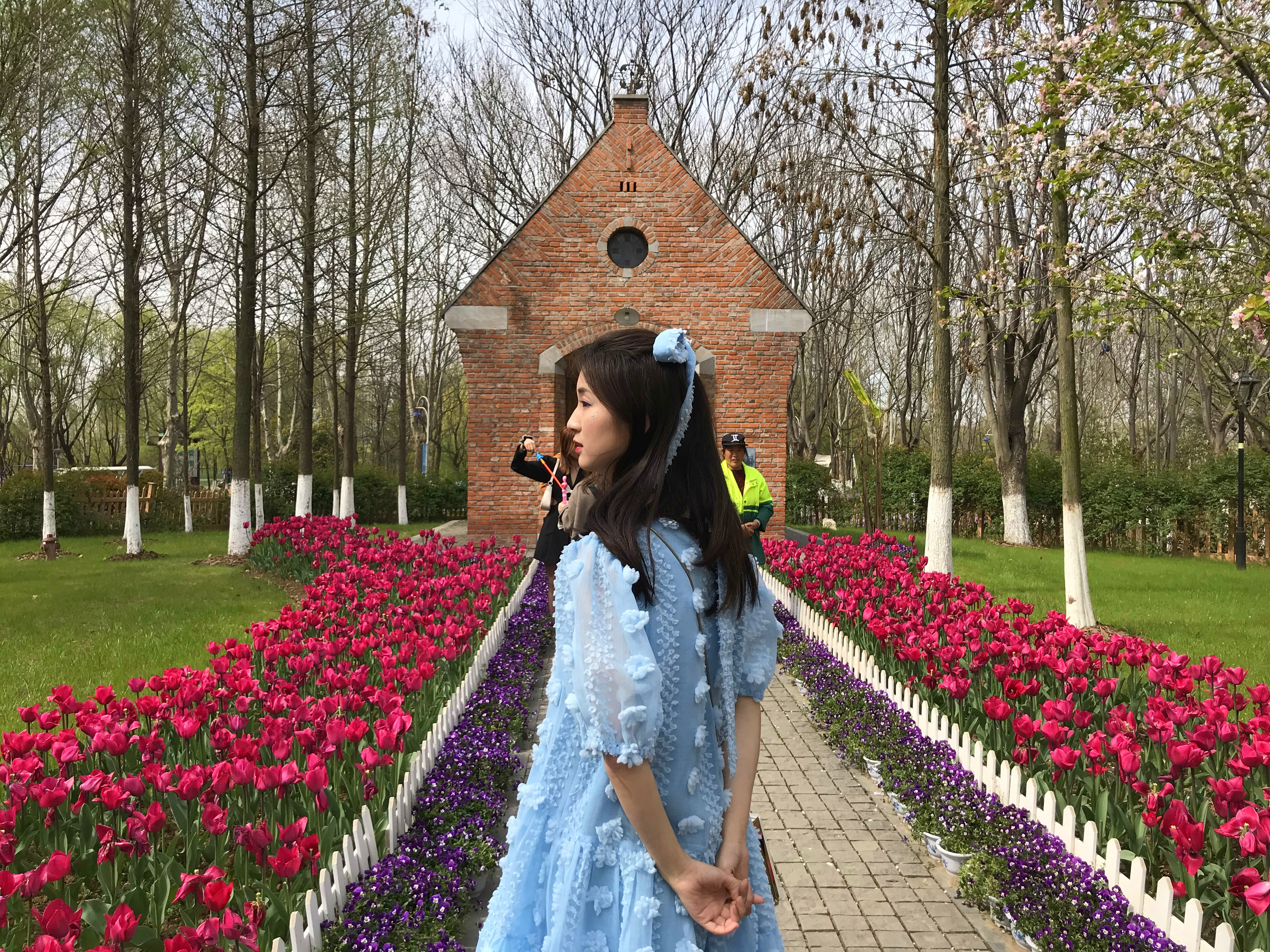 荷兰风情花园,南京绿博园的美丽