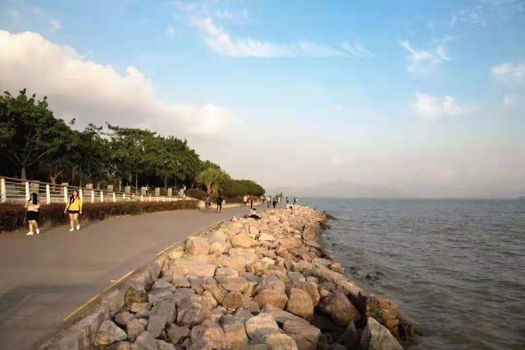 深圳一日游必去的地方有地铁站,深圳自驾游一日游最佳路线图