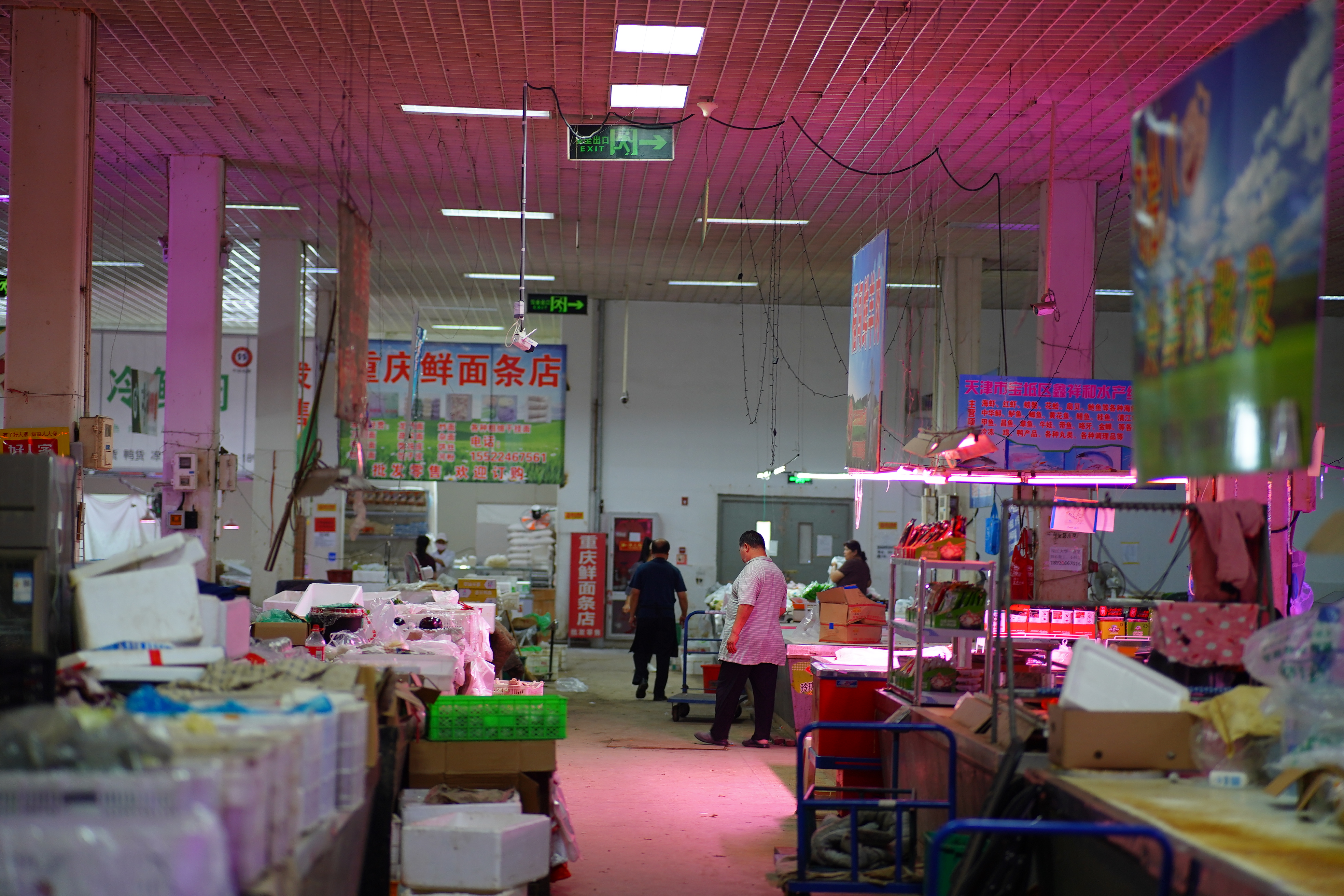 瀹濆澔浜触鏂板煄涓轰粈涔堟槸楝煎煄,瀹濆澔浜触鏂板煄杩樻槸楝煎煄