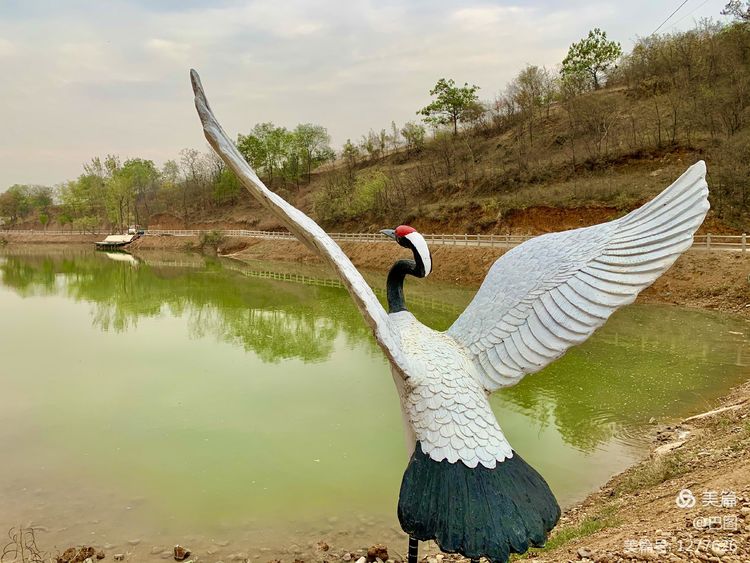 洛阳市宜阳凤凰岭射箭,宜阳县凤凰岭体育基地