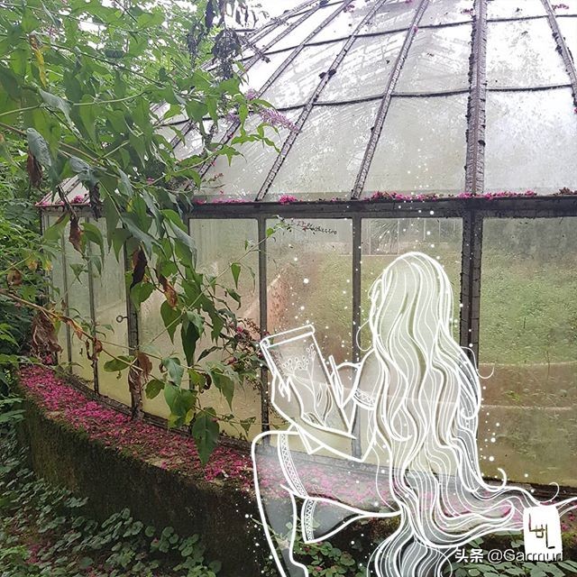 艺术|LulAlilalou看到的神奇世界