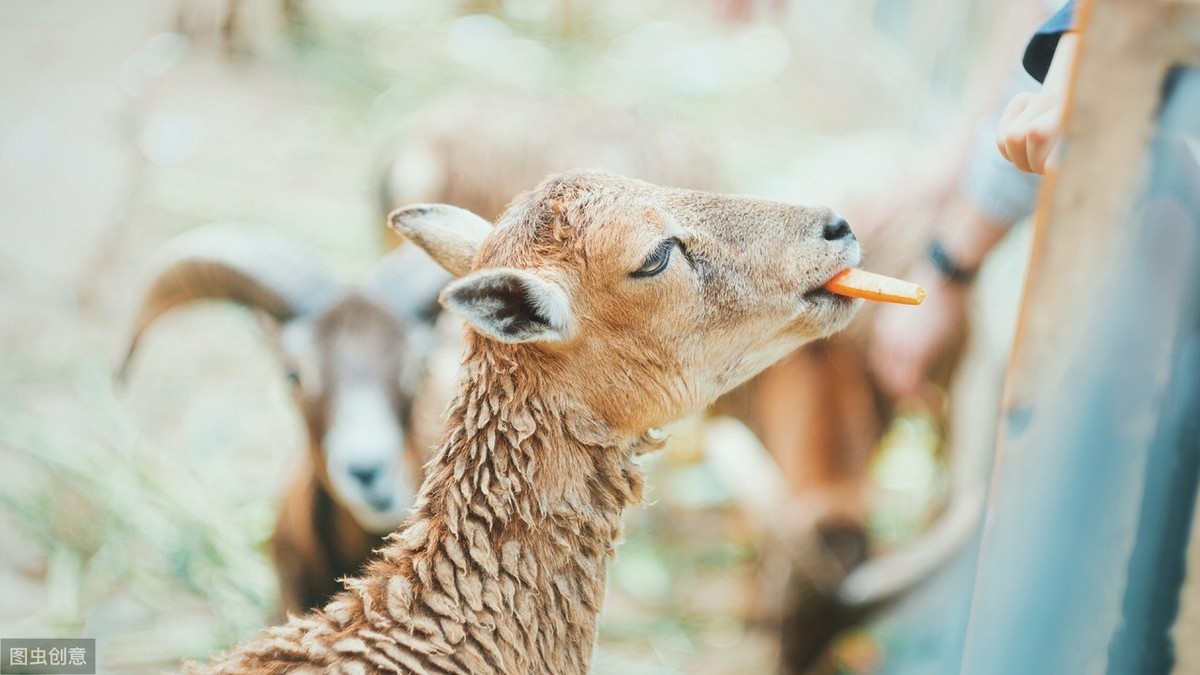 2020抖音最火十大打卡景点,抖音上最火的五大旅游景点推荐