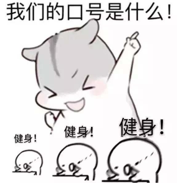 健身房体验好的评语,健身房测评系统