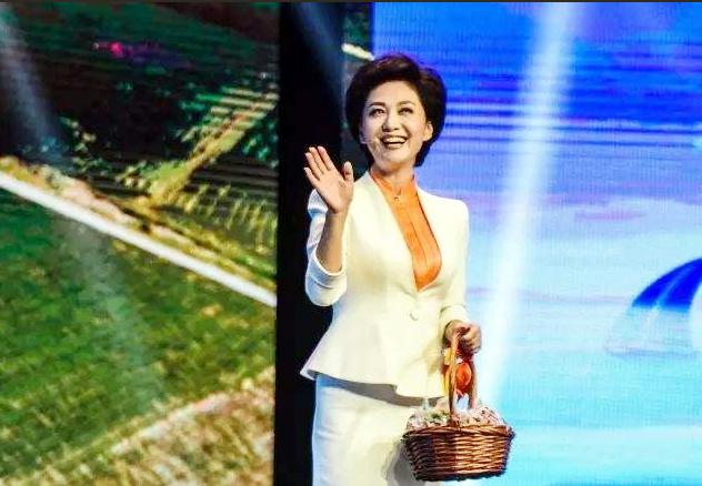 中国美女主播海霞,央视十大美女主播海霞辣评