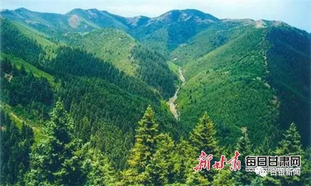 花村顾家善最新视频,花村顾家善小镇