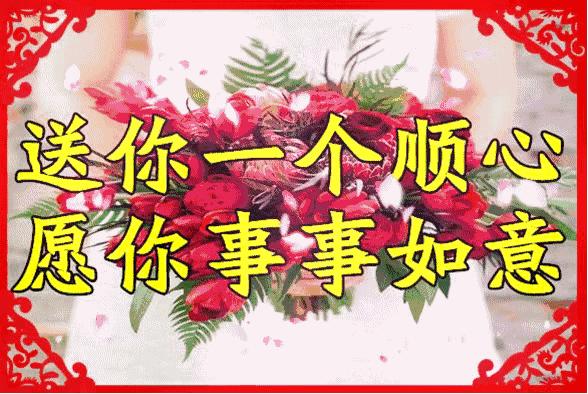 南飞雁古筝原唱,南飞雁答友人