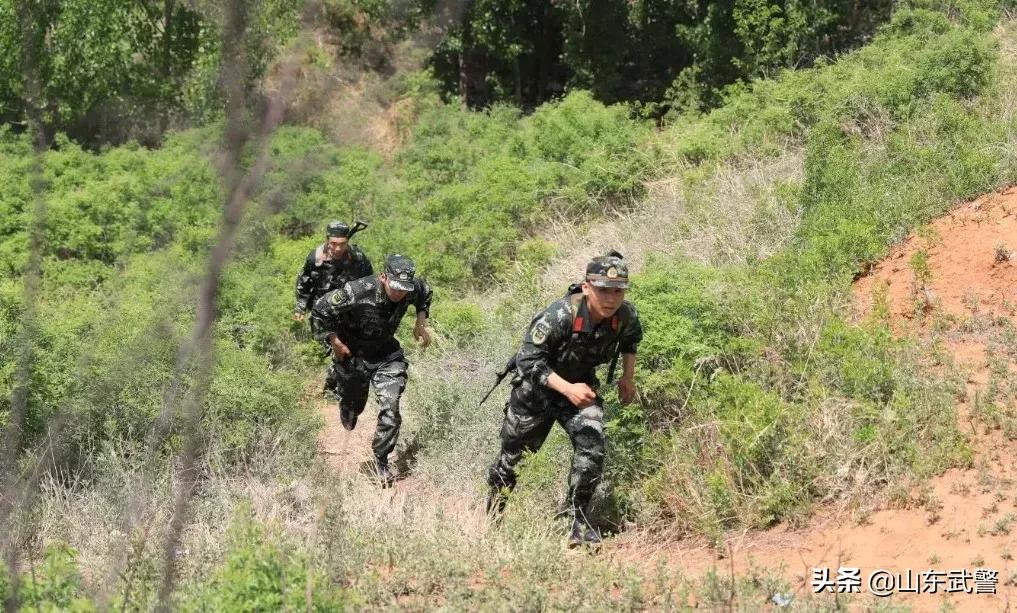 请别小看我们，新兵也能“挑大梁”