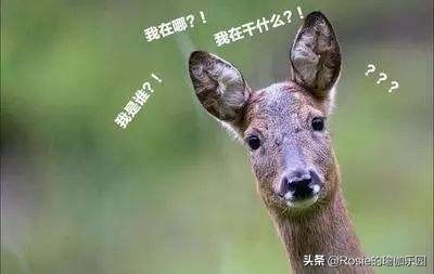 怎么同时瘦腿胯和腿内侧,坚持一周收胯瘦腿