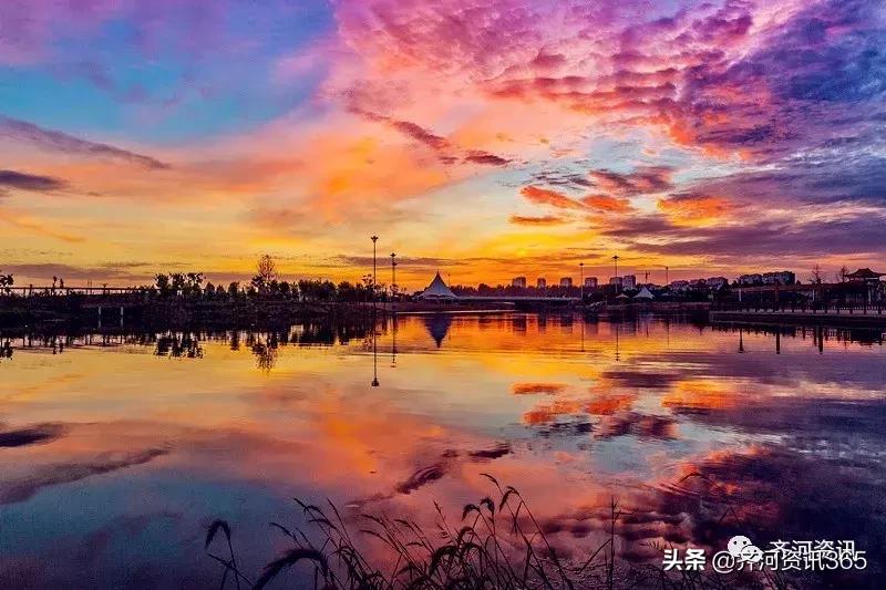 爆发!这个齐河,为何又被济南垂涎?