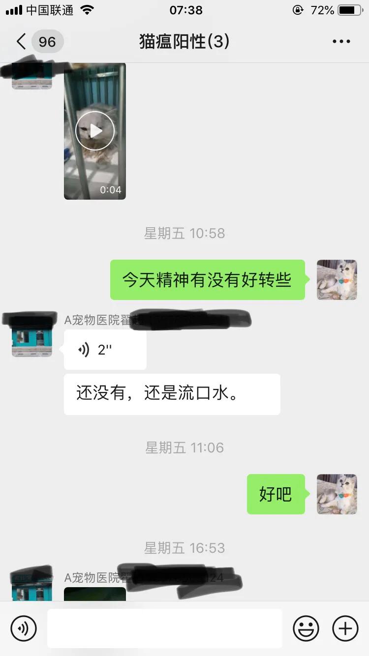 爆发猫瘟,猫瘟日常