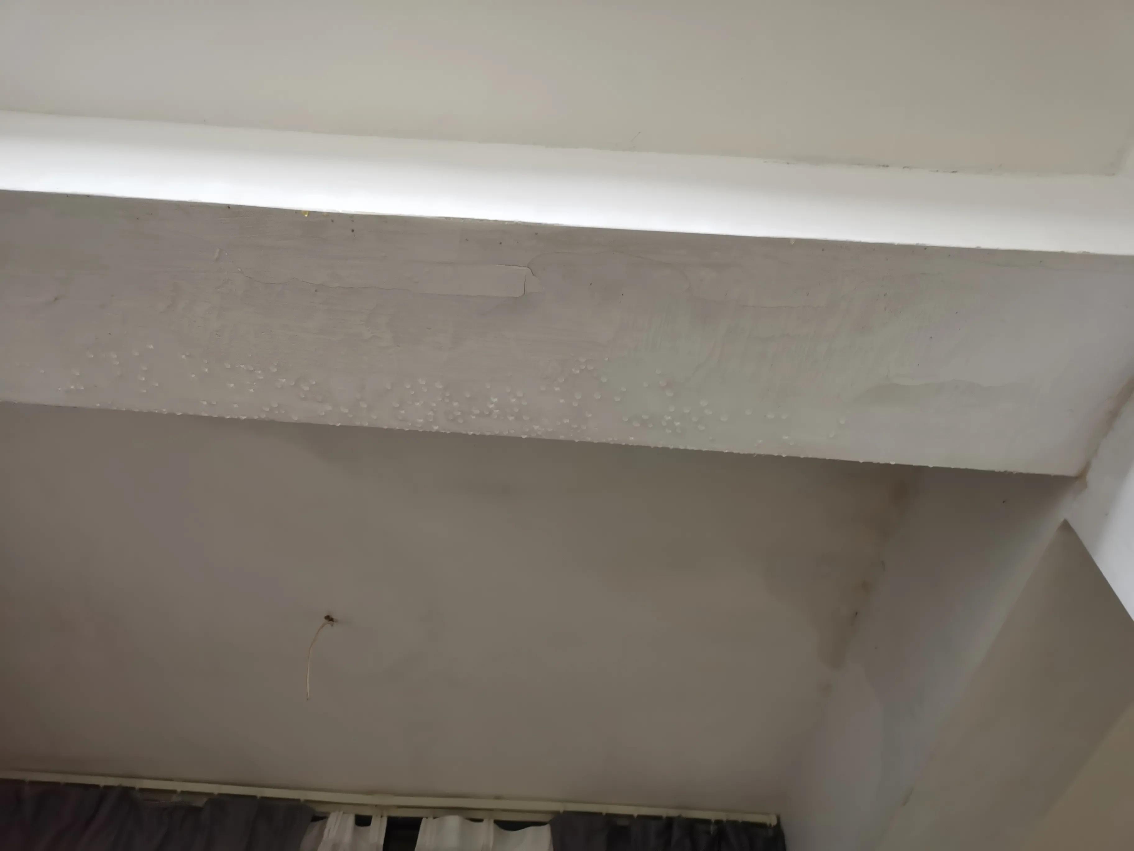 邻居漏水不处理怎么办,怎么起诉邻居漏水赔偿