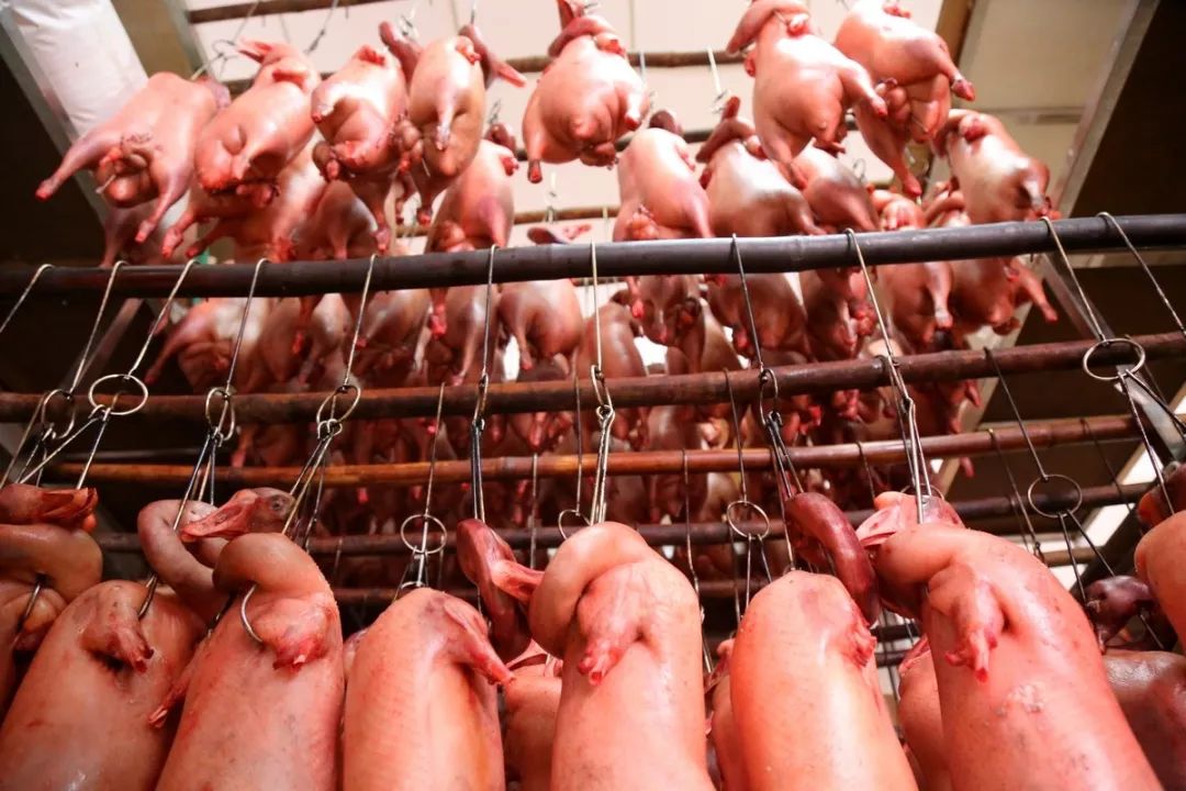 淘宝好吃的肉类推荐,淘宝吃货里面的产品好吗