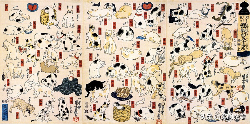 伶俐多变：文学与绘画中的猫形象