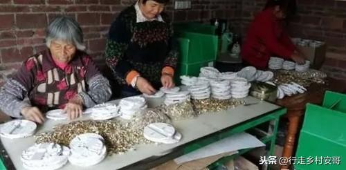 农村赚钱门路都是怎么找的,农村生意的门路