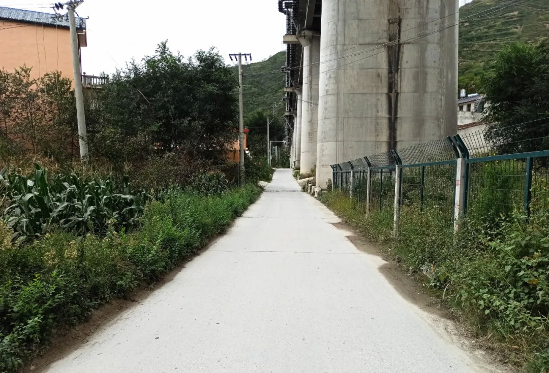 沙湾镇人山人海,沙湾镇发展