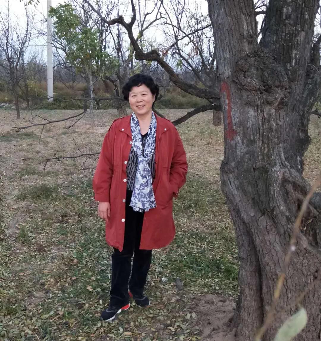 看欧洲的三种角度及文化表情--欧华散文创作断想丨樊洛平