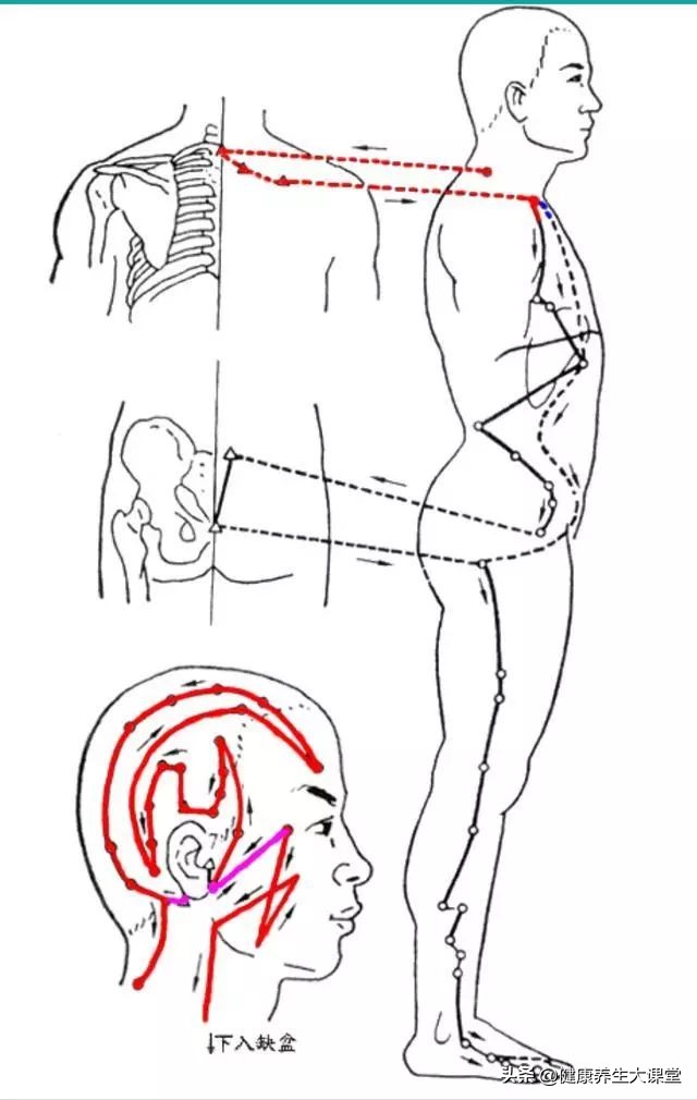 把穴位像药物一样分类后，运用竟如此简单