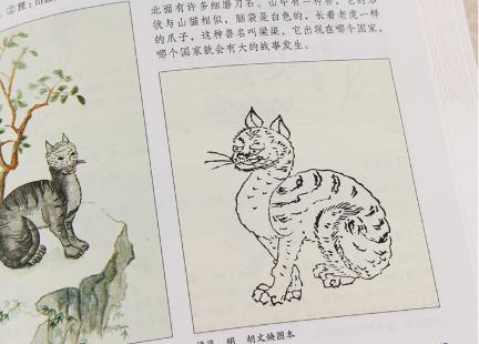 放羊老汉发现一个秘密,山西放羊老汉发现凤凰鸟