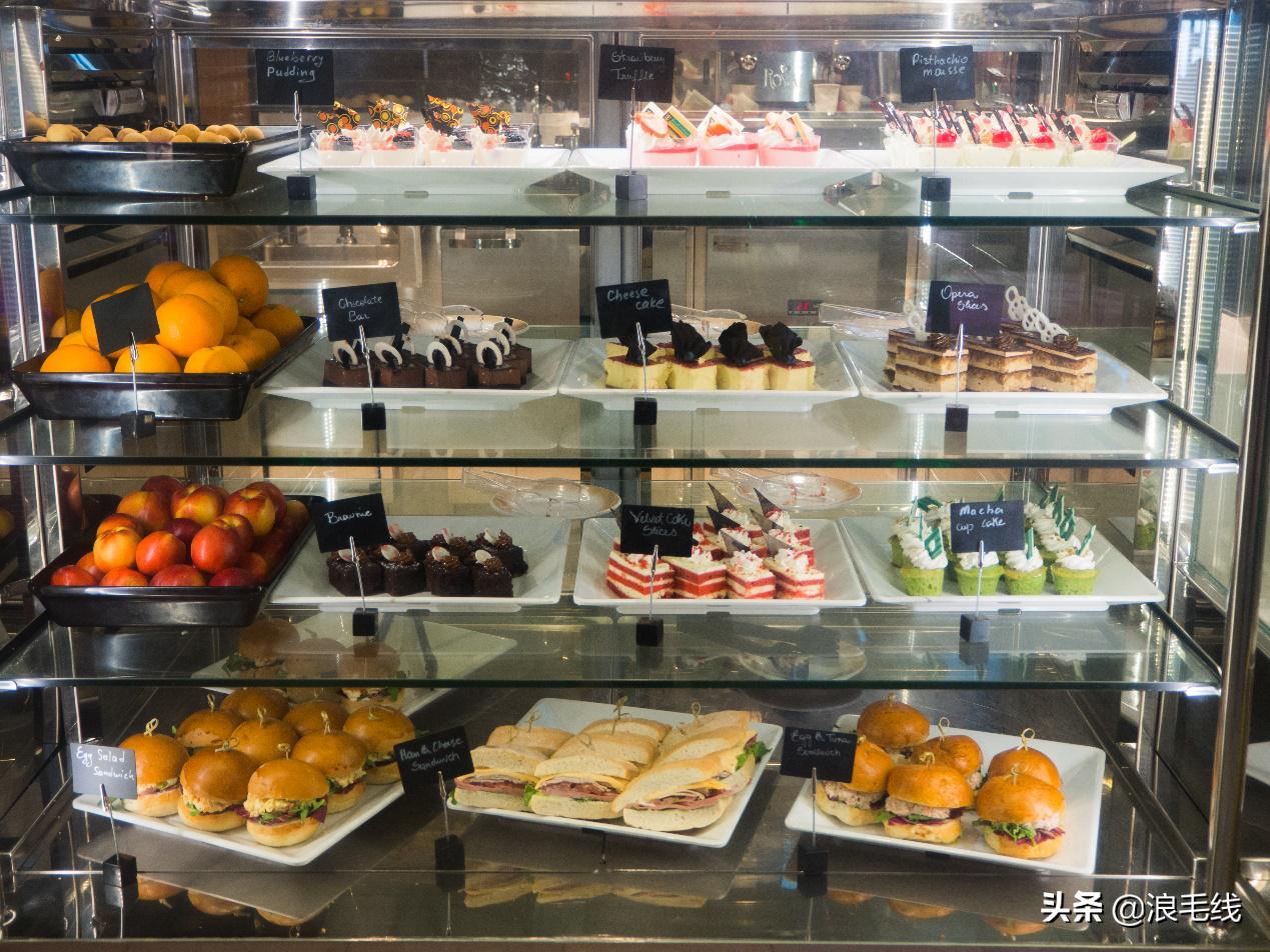 海洋光谱号邮轮游玩攻略,海洋光谱号邮轮旅行攻略