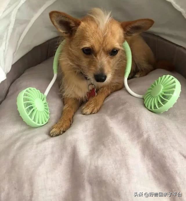 我们到底靠什么活,我们靠什么为生