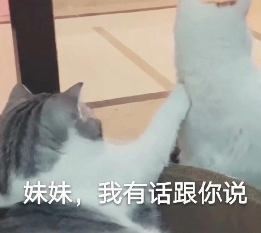 搞笑段子：骑上我心爱的小乌龟