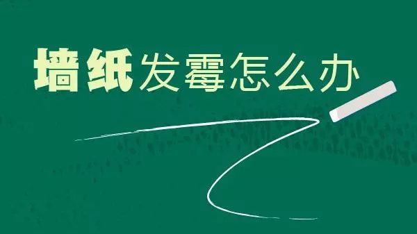 发霉墙面翻新步骤以及成本,解决墙面发霉的最好方法