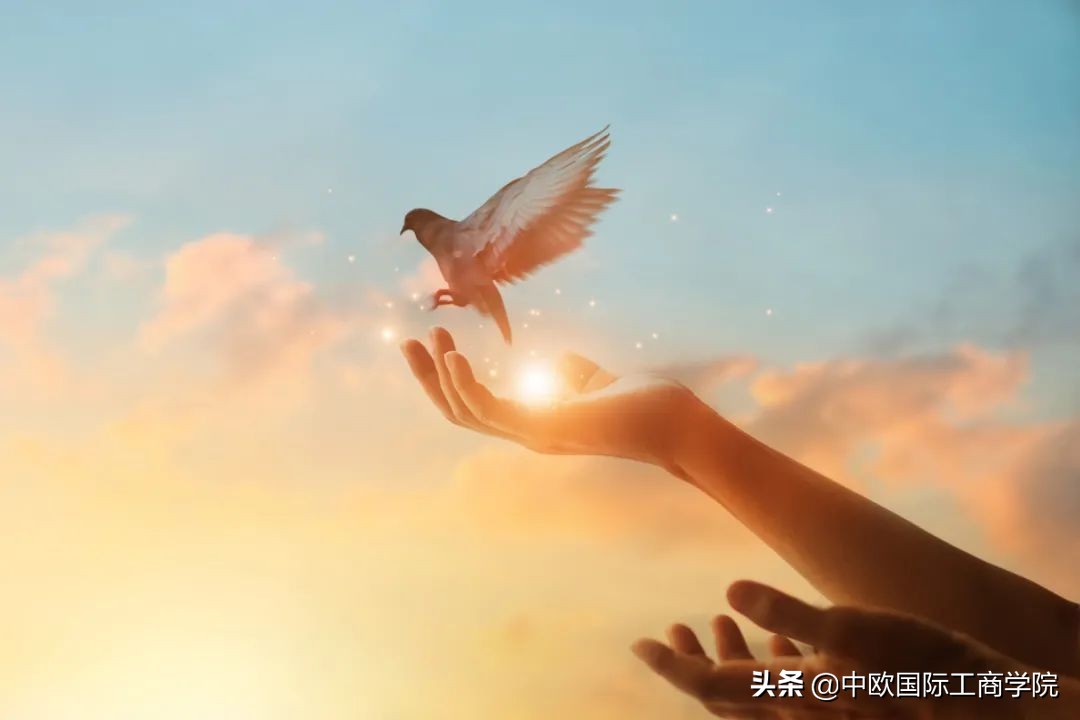 始祖鸟在国内的市场份额有多大,始祖鸟中国门店数量