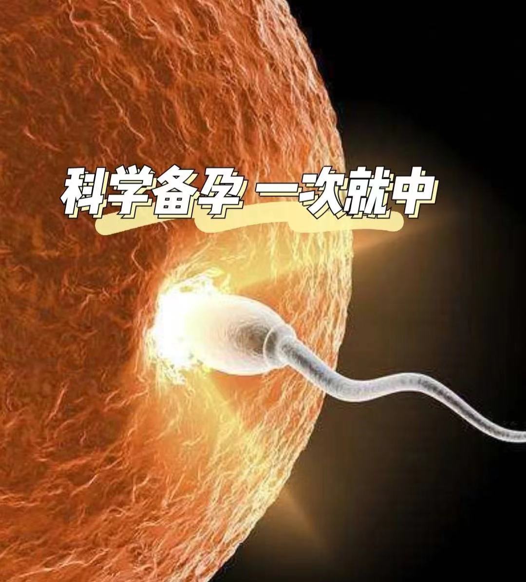 备孕成功经验视频,47高龄备孕成功经验