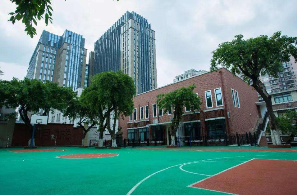 重庆市重点小学排名榜,重庆市小学排名前100名